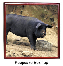 Pig Keepsake Box