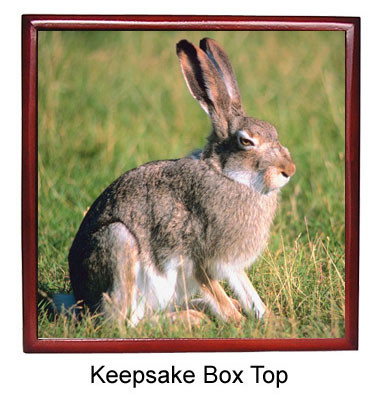 Rabbit Keepsake Box