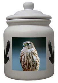 Falcon Ceramic Color Cookie Jar