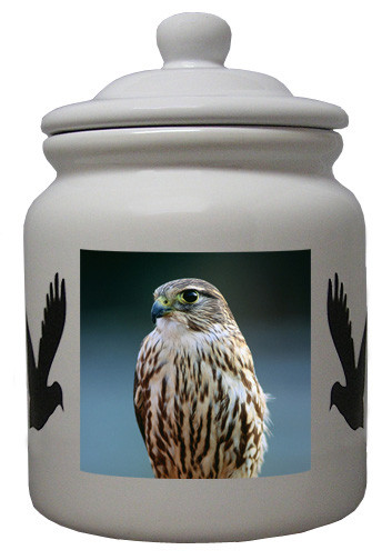 Falcon Ceramic Color Cookie Jar