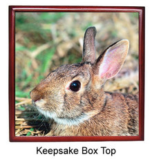 Rabbit Keepsake Box