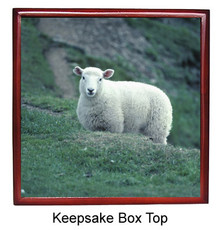 Sheep Keepsake Box
