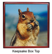 Chipmunk Keepsake Box