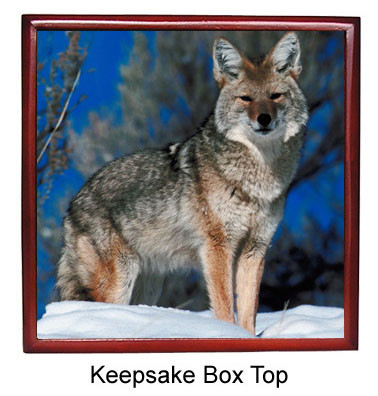 Coyote Keepsake Box