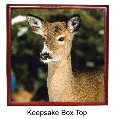 Deer Keepsake Box
