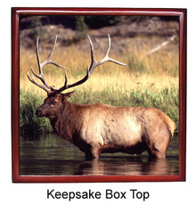 Elk Keepsake Box