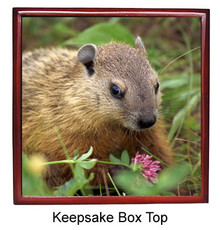 Groundhog Keepsake Box