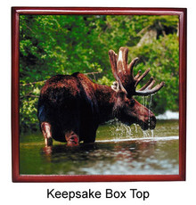 Moose Keepsake Box
