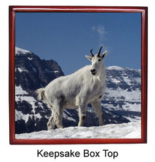 Mountain Goat Keepsake Box