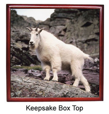 Mountain Goat Keepsake Box