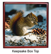 Squirrel Keepsake Box