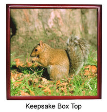 Squirrel Keepsake Box