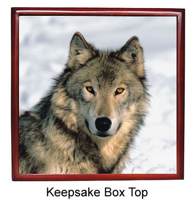 Wolf Keepsake Box