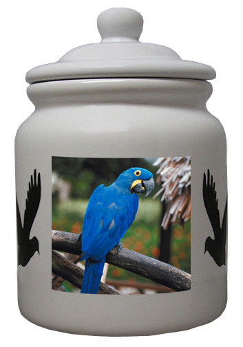 Macaw Ceramic Color Cookie Jar