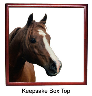 Horse Keepsake Box