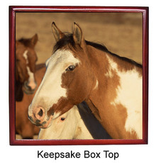 Horse Keepsake Box