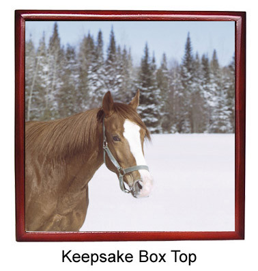 Horse Keepsake Box