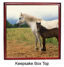 Horse Keepsake Box