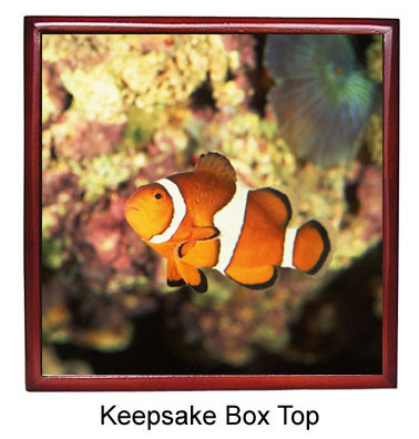 Clownfish Keepsake Box