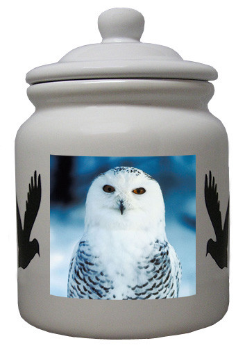 White Owl Ceramic Color Cookie Jar