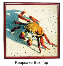Crab Keepsake Box