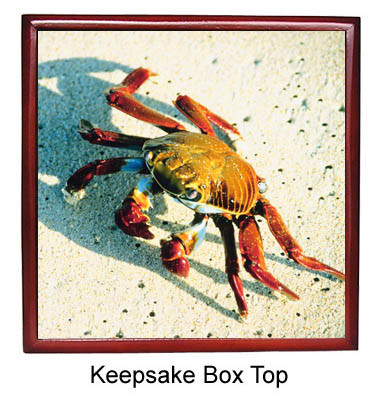 Crab Keepsake Box