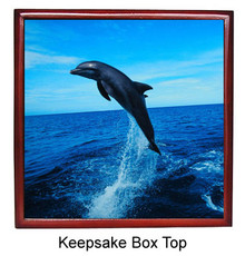 Dolphin Keepsake Box