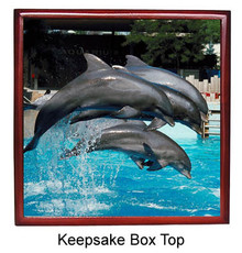 Dolphin Keepsake Box