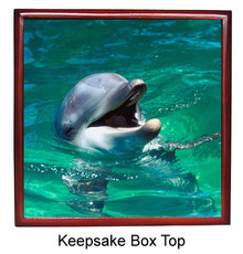Dolphin Keepsake Box