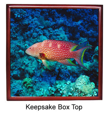 Grouper Keepsake Box