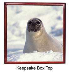 Seal Keepsake Box