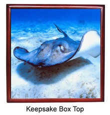 Stingray Keepsake Box