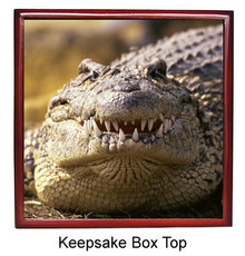 Alligator Keepsake Box