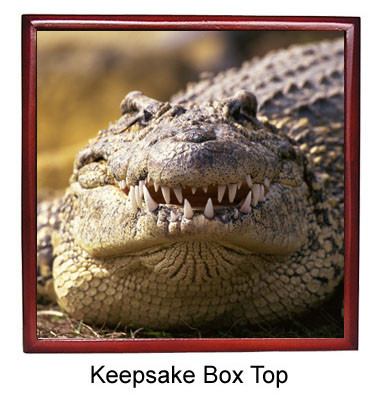 Alligator Keepsake Box