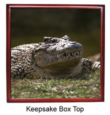 Alligator Keepsake Box