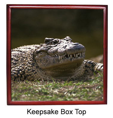 Alligator Keepsake Box