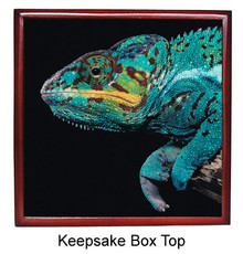 Chameleon Keepsake Box