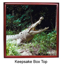 Crocodile Keepsake Box
