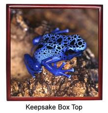 Blue Frog Keepsake Box