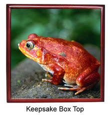 Tomato Frog Keepsake Box