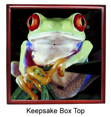 Tree Frog Keepsake Box