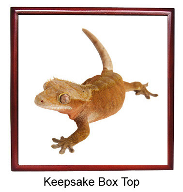 Gecko Keepsake Box