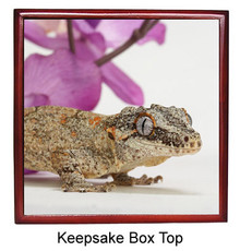 Gecko Keepsake Box