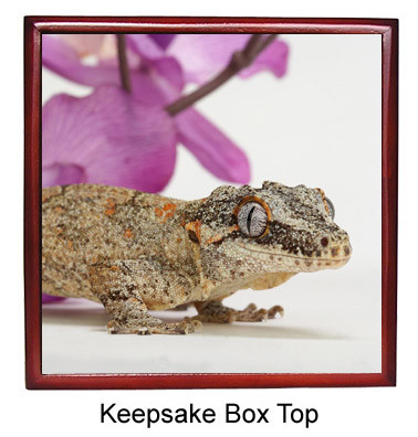 Gecko Keepsake Box