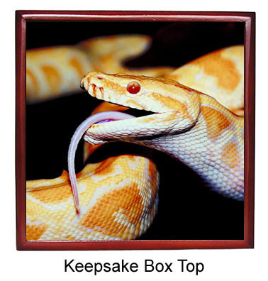Python Snake Keepsake Box