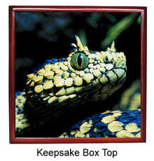 Viper Snake Keepsake Box