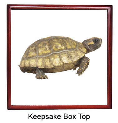 Turtle Keepsake Box
