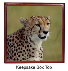 Cheetah Keepsake Box