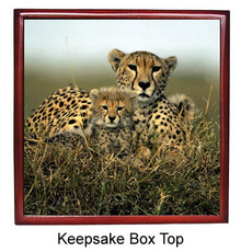 Cheetah Keepsake Box