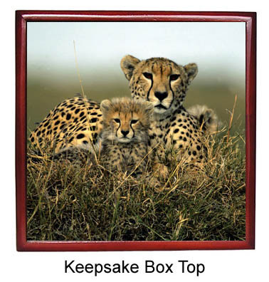 Cheetah Keepsake Box